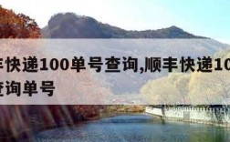 顺丰快递100单号查询,顺丰快递100单号查询单号