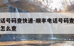 顺丰电话号码查快递-顺丰电话号码查快递物流信息怎么查