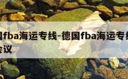 德国fba海运专线-德国fba海运专线腾信会议