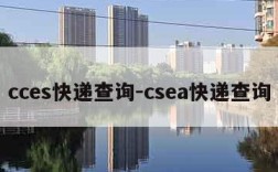 cces快递查询-csea快递查询