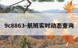 9c8863-航班实时动态查询