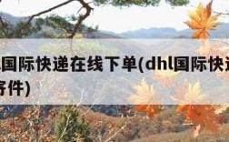 dhl国际快递在线下单(dhl国际快递官网寄件)